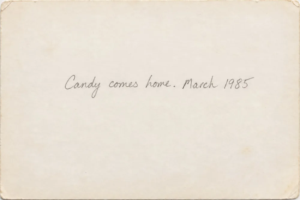 Back of a print with a faint pencil note: Candy comes home. March 1985